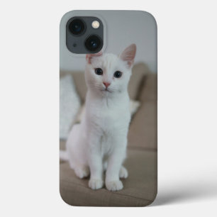 White cat   Zazzle_Growshop.