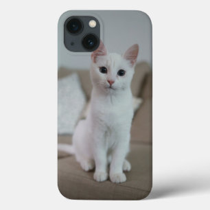White cat   Zazzle_Growshop.