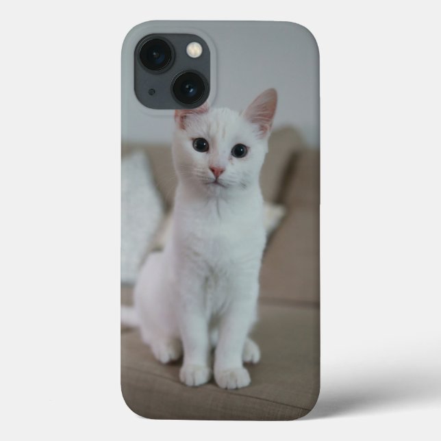 White cat | Zazzle_Growshop. (Verso)