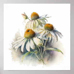 White Coneflowers Art Impressão Poster