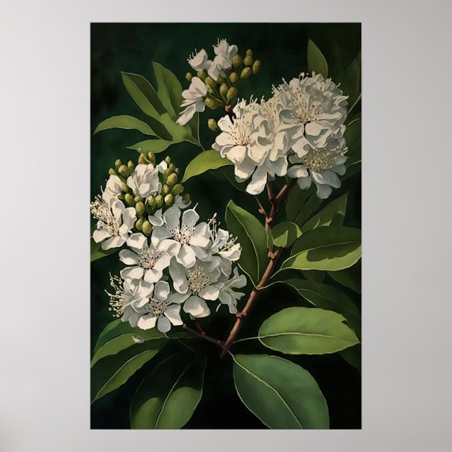 White Crepe Myrtle Flowers Art Impressão (Frente)