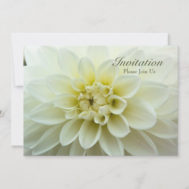 White Dahlia ・ Convite para Janto de ensaio (Frente)