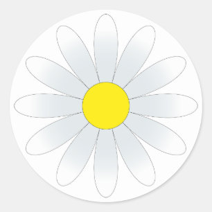 White Daisy em branco adesivo redondo branco clás