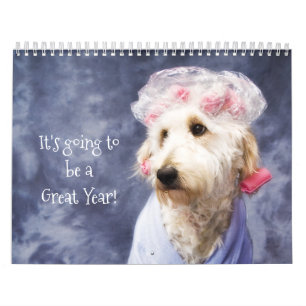White Dog Engraçado Calendário Ouro Doodle