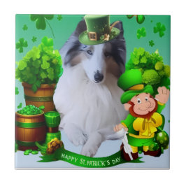 White factor Merle Headed Rough Collie 