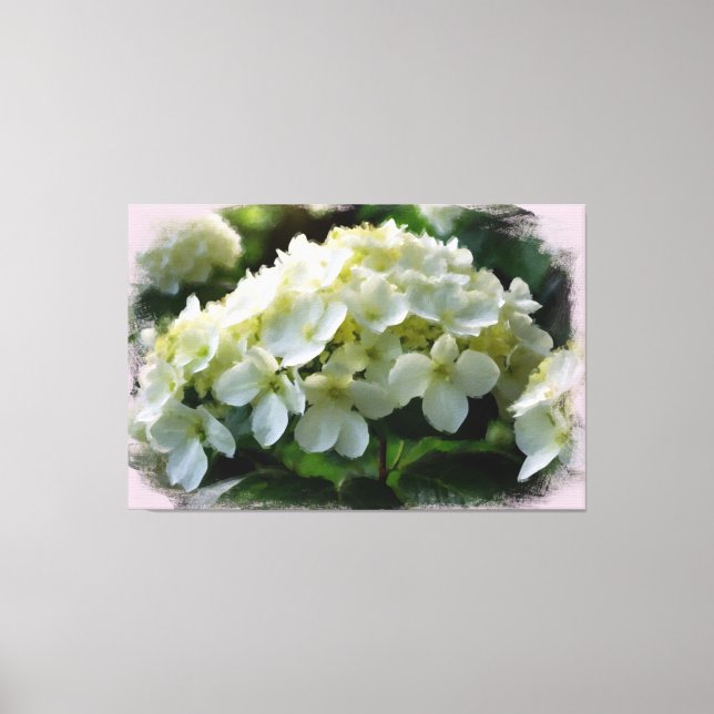 *~* White Hydrangea TV2 Art Stretch Canvas Print (Frente)