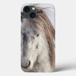 White Icelandic Horse Headshot