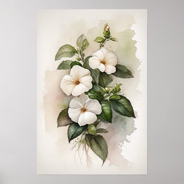 White Impatits Flower Art Impressão Poster (Frente)