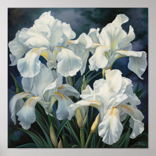 White Irisa Impressão de Arte Flor Poster