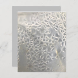 White Light Cinza Bubbles Web Scrapbook Paper