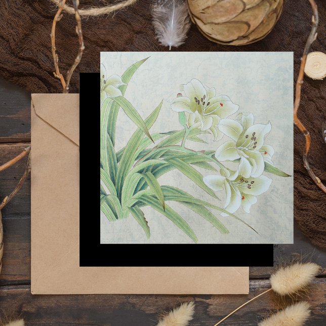 White Lily (Criador carregado)