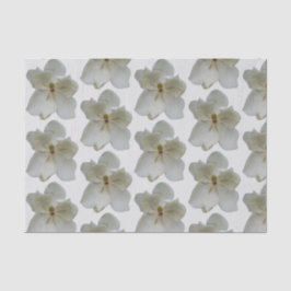 White Magnolias em papel tecidular