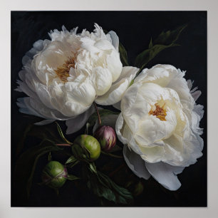 White Peony Flowers Art Impressão Poster