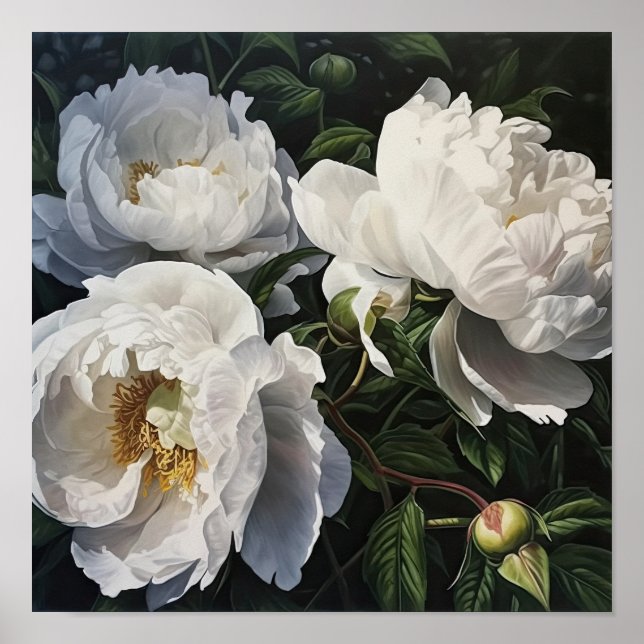 White Peony Flowers Art Impressão Poster (Frente)