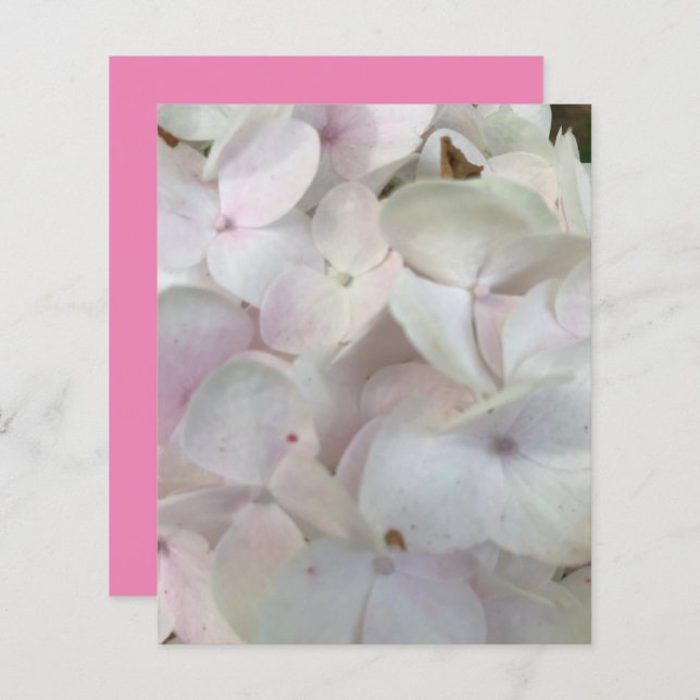 White Pink Hydrangea Blossomas Livro (Frente/Verso)