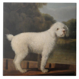 White Poodle in a Punt (por George Stubbs)