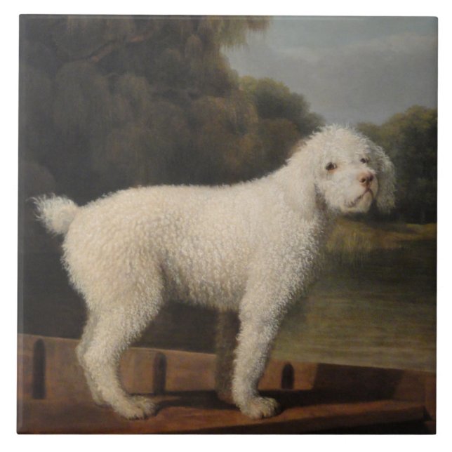 White Poodle in a Punt (por George Stubbs) (Frente)