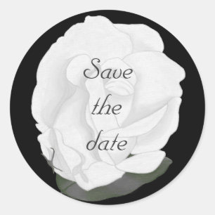 White Rose Salve os adesivos de data