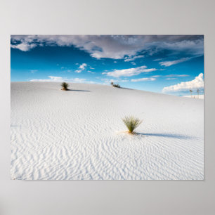 White Sands Blue Sky Yucca, Nova Poster do México