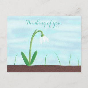 White Snowdrop Flower Pensando em seus Cartões po