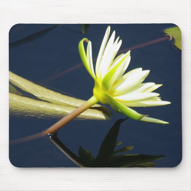 white waterlily mousepad (Frente)