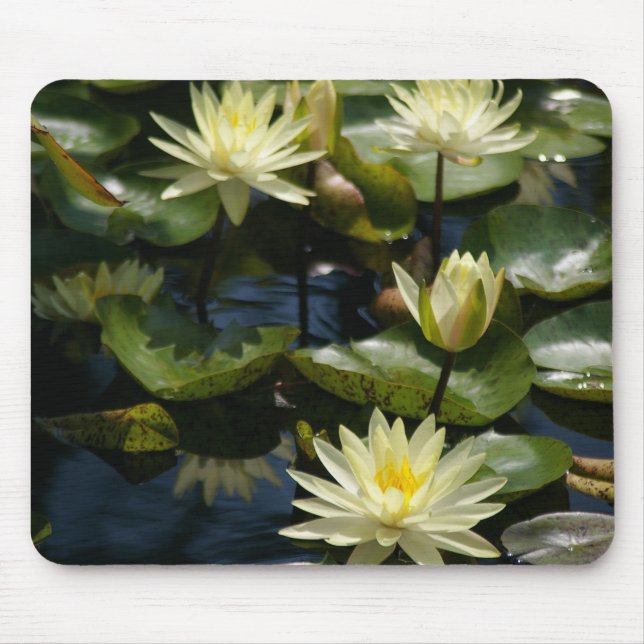 white waterlily mousepad (Frente)