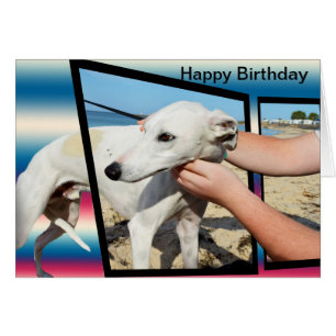 White Whippet Dog - Arte Dimensionável, Cartão de