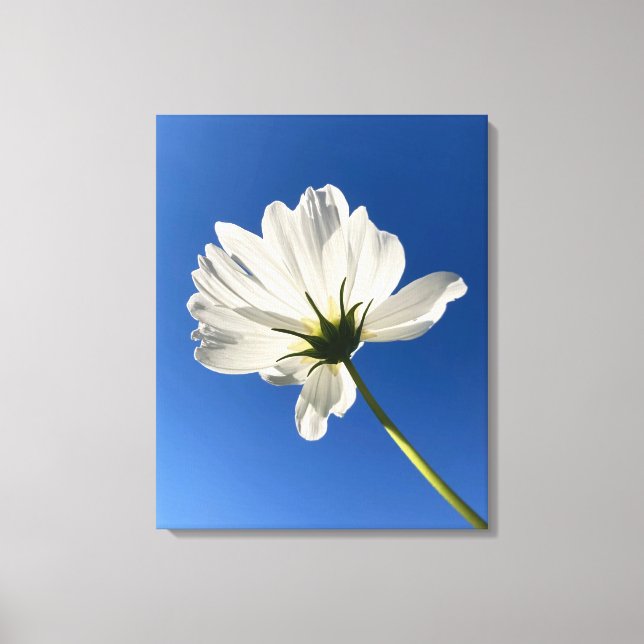 White Wild Flower Canvas Art (Frente)
