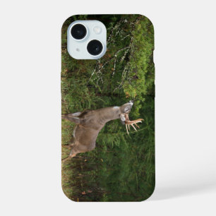 Whitetail Deer, Big Buck na borda faz rascunho