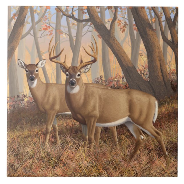 Whitetail Deer Buck & Doe Autumn Mapods (Frente)
