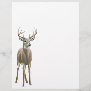 Whitetail Deer Buck Letterhead