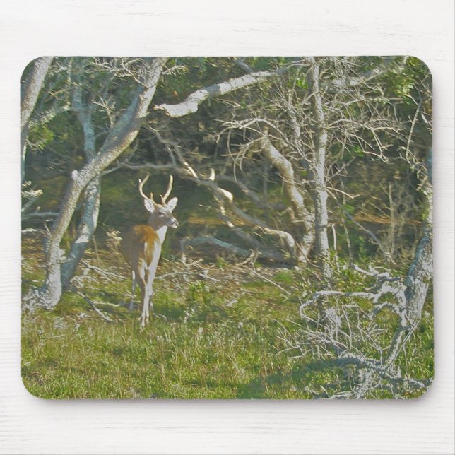 Whitetail Deer Buck OBX Mousepad (Frente)