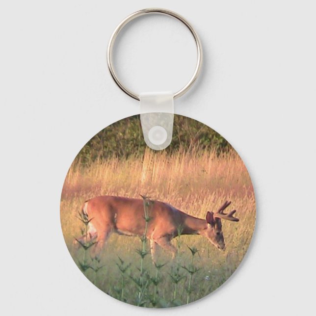 Whitetail Deer Chaveiro (Frente)