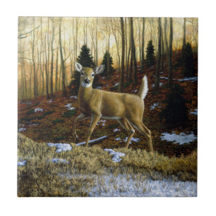 Whitetail Deer Doe na Floresta de outono