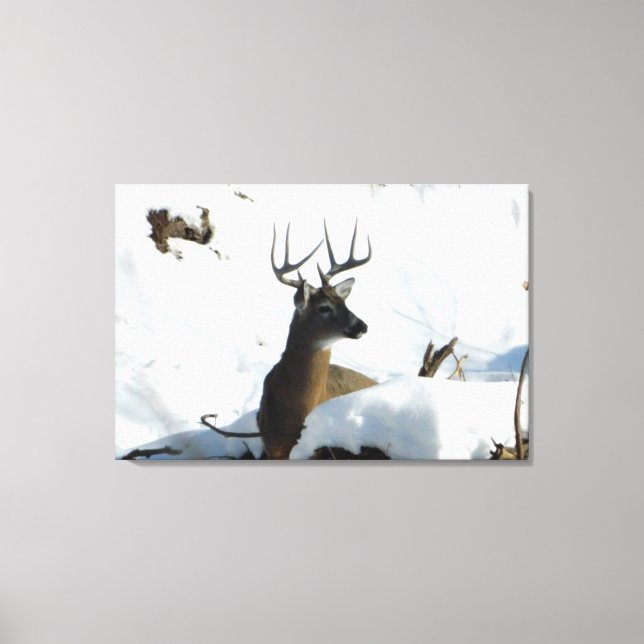 Whitetail Deer Winter Antlers Canvas (Frente)
