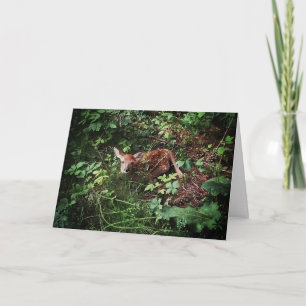 "Whitetail Woods Deer" Cartão de Páscoa