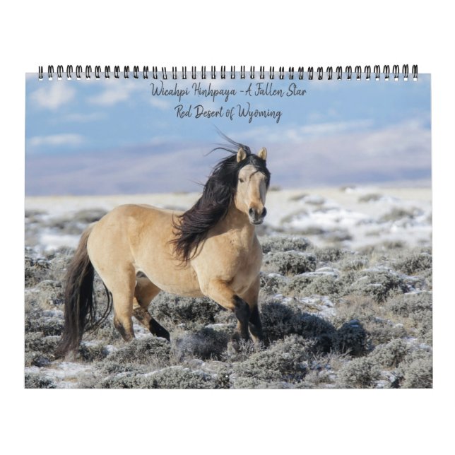 Wicahpi Hinhpaya - Uma Estrela Falsa: Calendário 2 (Capa)
