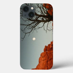Wicked Moon