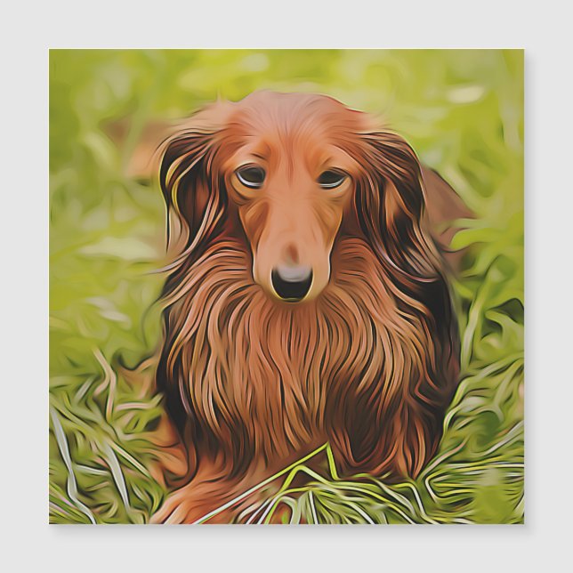 Wiener Brown Dachshund Na Grama No Jardim Xmas (Frente)