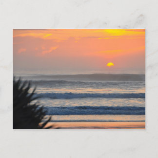 Wilbur perto do Sea Palm Sunrise, cartão postal da