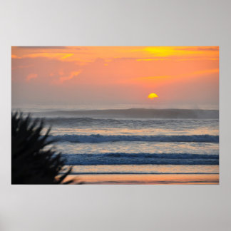 Wilbur perto do Sea Palm Sunrise na Flórida Poster