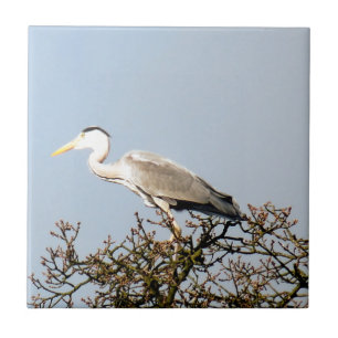 WILD BIRD HERON