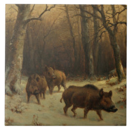Wild Boars in the Snow (por Rosa Bonheur)