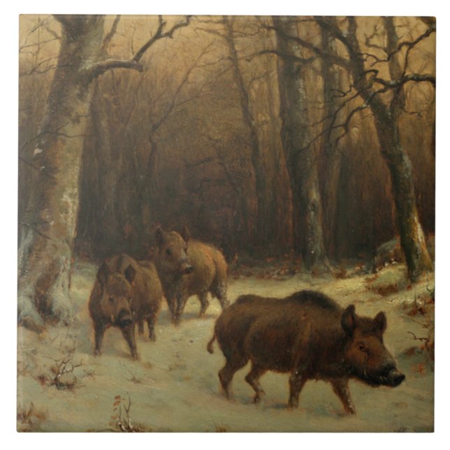 Wild Boars in the Snow (por Rosa Bonheur) (Frente)