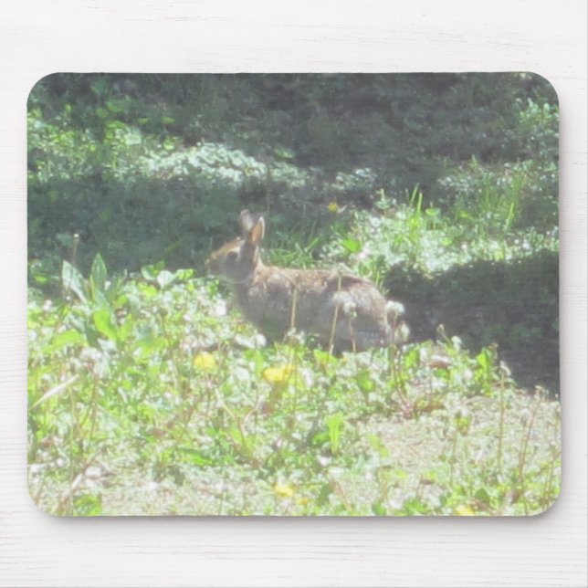 Wild Bunny Mousepad (Frente)