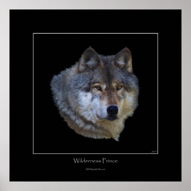 Wild Cinza Wolf Art Poster (Frente)