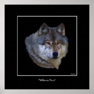 Wild Cinza Wolf Art Poster