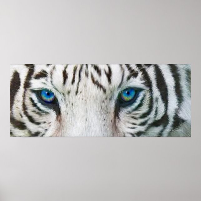 Wild Eyes - White Tiger Art Poster or Print (Frente)