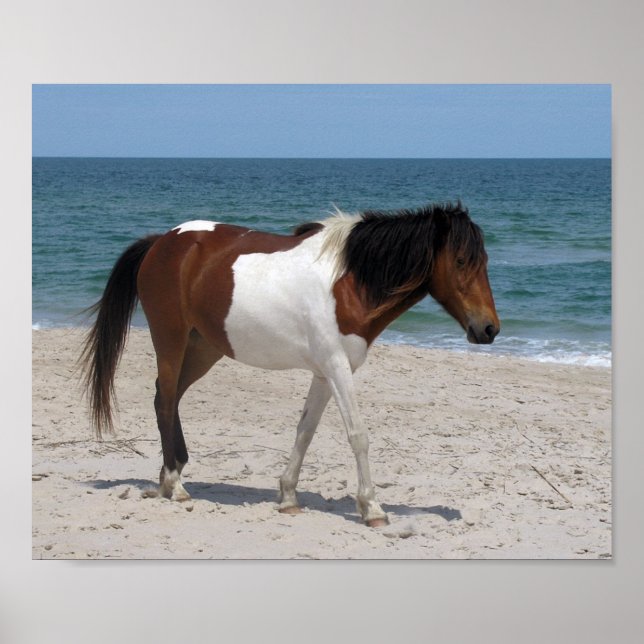 Wild Horse Poster (Frente)