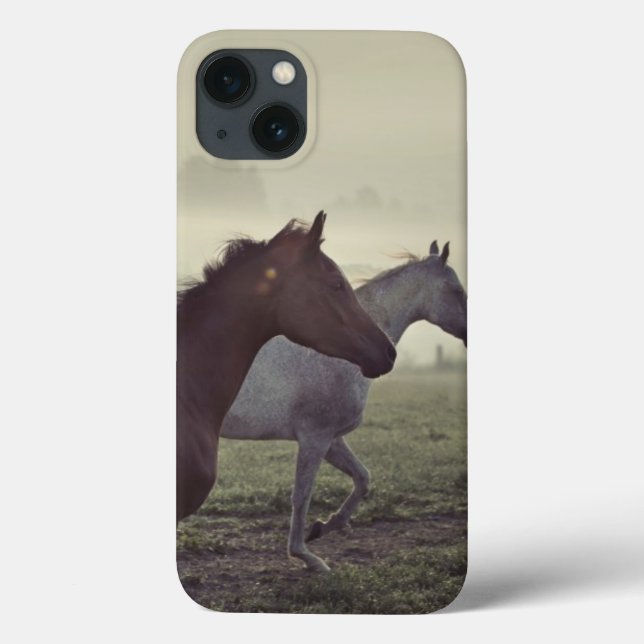 Wild horses (Verso)